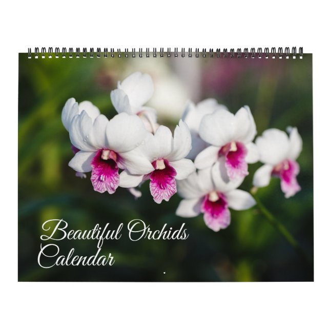 Großformat-Orchideen-Kalender Kalender (Titelbild)