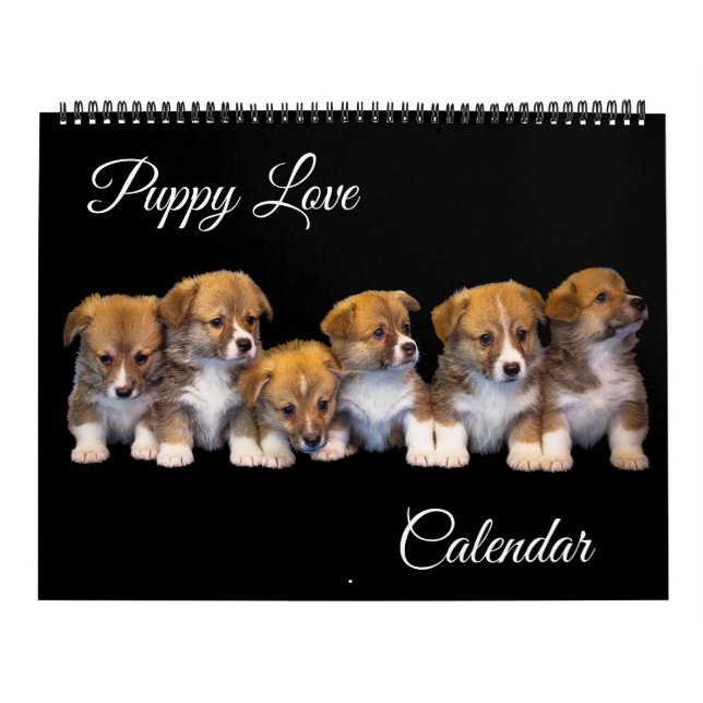 Großformat Welpenliebe-Kalender Kalender (Titelbild)