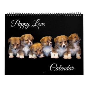 Großformat Welpenliebe-Kalender Kalender