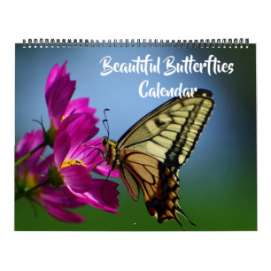Großformatiger Kalender mit schönen Schmetterlinge