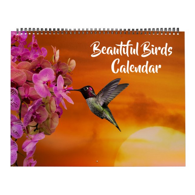 Großformatiger schöner Vögel-Kalender Kalender (Titelbild)