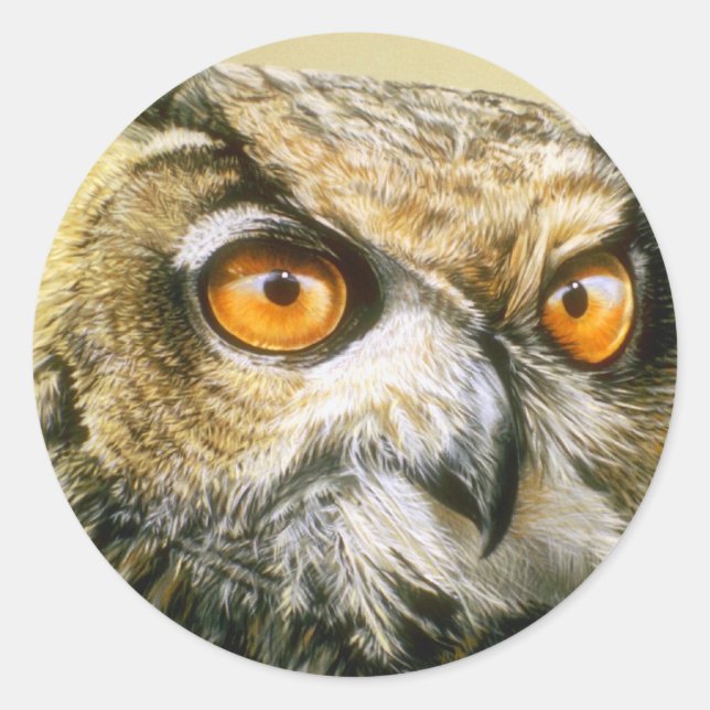 Großhornvögel Runder Aufkleber (Vorderseite)