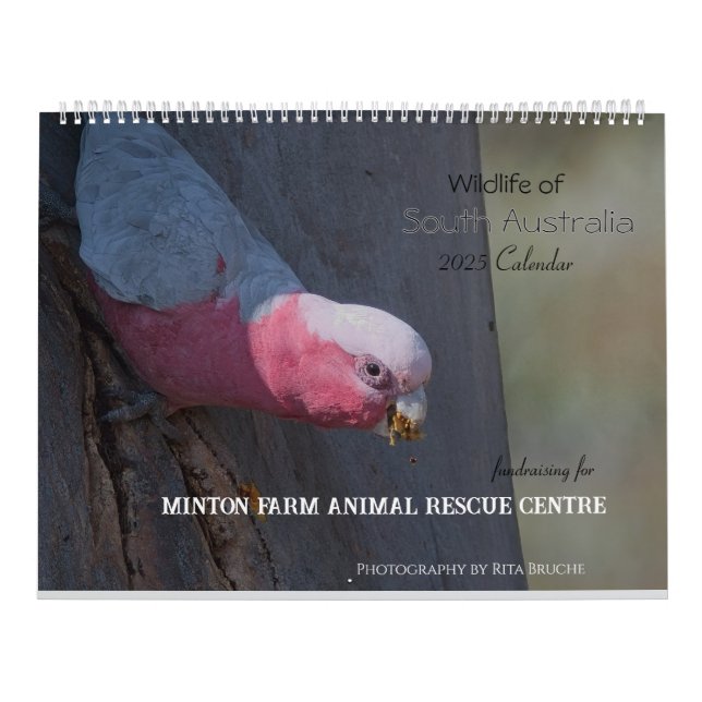 Großkalender 24 kalender (Titelbild)