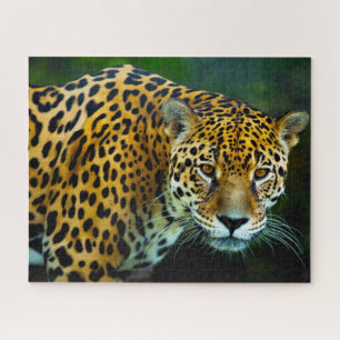 Großkatzen der Gattung Jaguar Puzzle