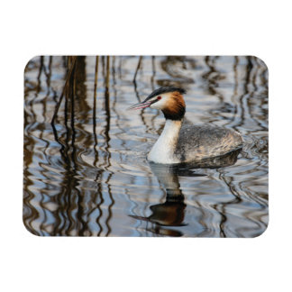 Großkreuzer Grebe Magnet