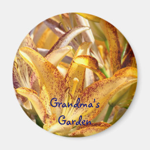 Großmagnete Magnete Orange Lily Blume