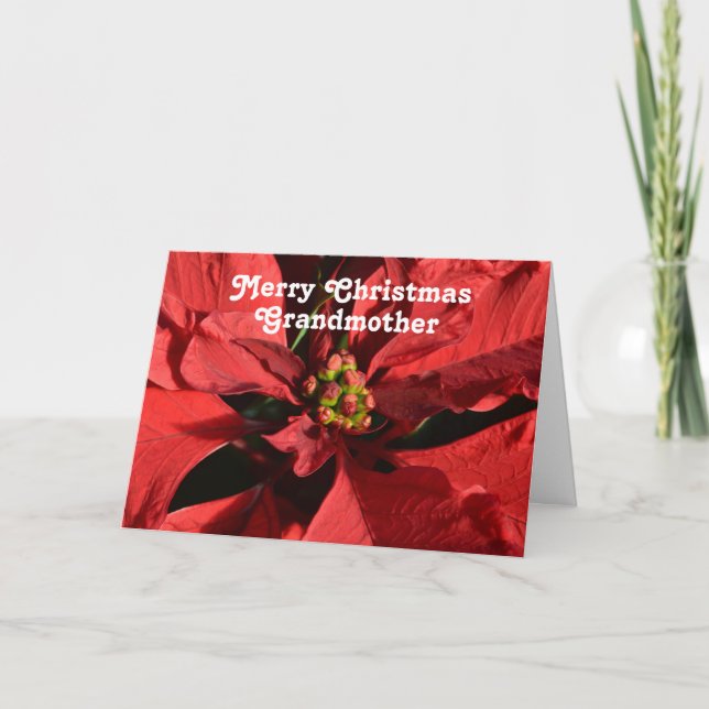 Großmutter Red Poinsettia Frohe Weihnachten (Vorderseite)
