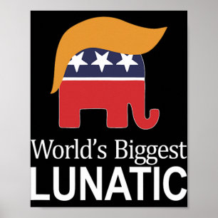 Größter Verrückter der Welt - Anti Trump - Poster