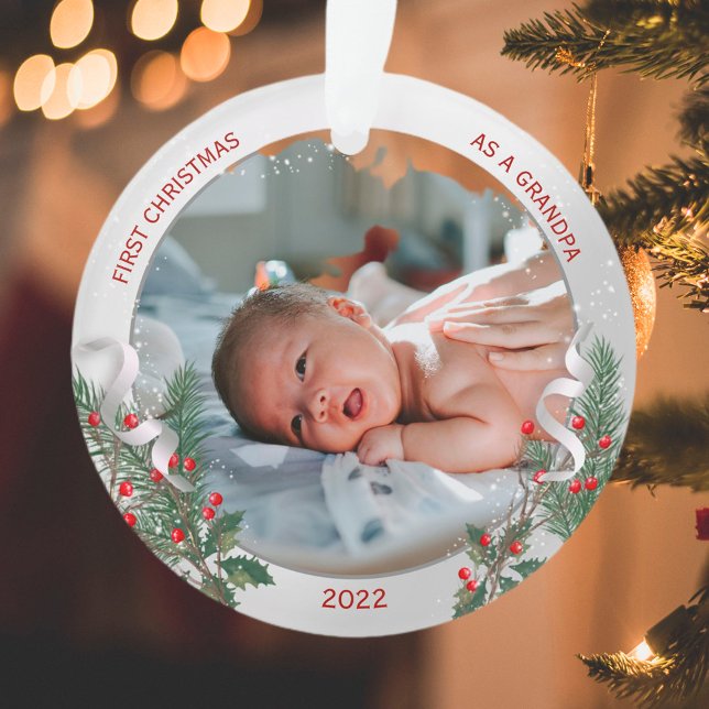 Großvater 1. Weihnachts-Klassik Silver Pflanze Rah Ornament (Von Creator hochgeladen)