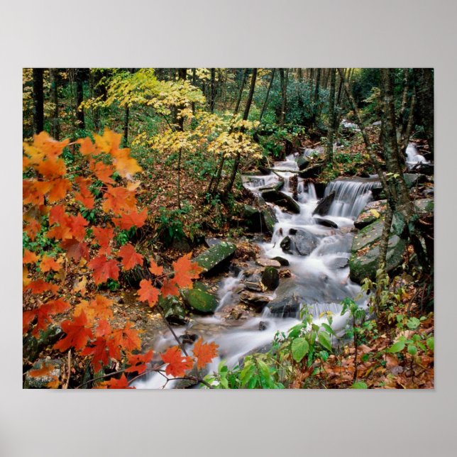 Großvater Poster (Vorne)