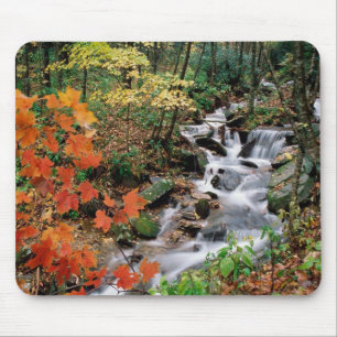 Großväterliche Gebirgsfälle Mousepad