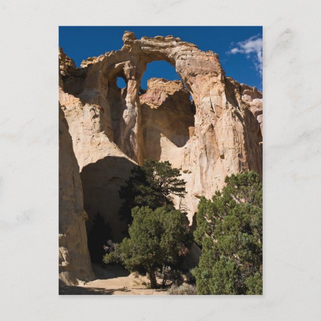 Grosvenor Arch Postkarte (Vorderseite)