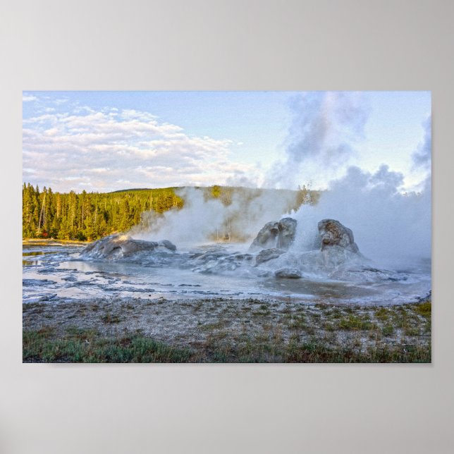 Grotto Geyser, Yellowstone Nationalpark Poster (Vorne)