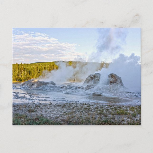 Grotto Geyser, Yellowstone Nationalpark Postkarte (Vorderseite)