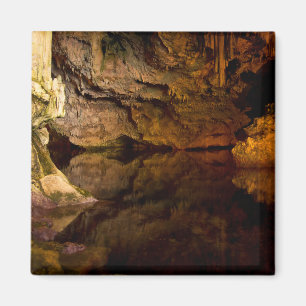 Grotto Neptune, Magnet Sardiniens