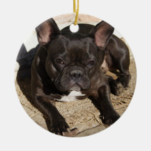 Grouchy French Bulldog Keramikornament
