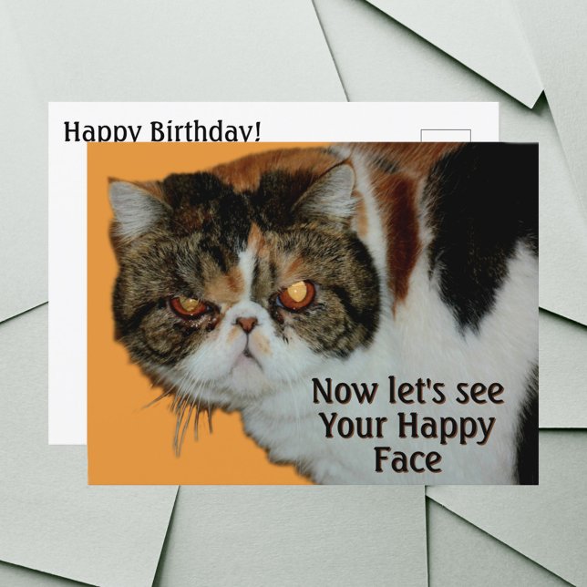 Grouchy Grumpy Cat Exotic Kurz haar Persian Postkarte (Von Creator hochgeladen)