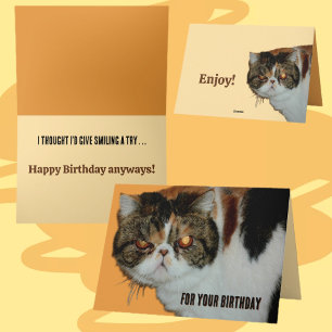Grouchy Grumpy Cat Exotic Persian Funny Birthday Karte