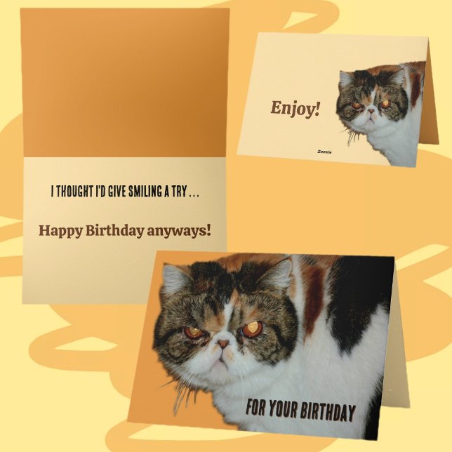 Grouchy Grumpy Cat Exotic Persian Funny Birthday Karte (Von Creator hochgeladen)