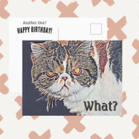 Grouchy Grumpy Cat Funny Birthday