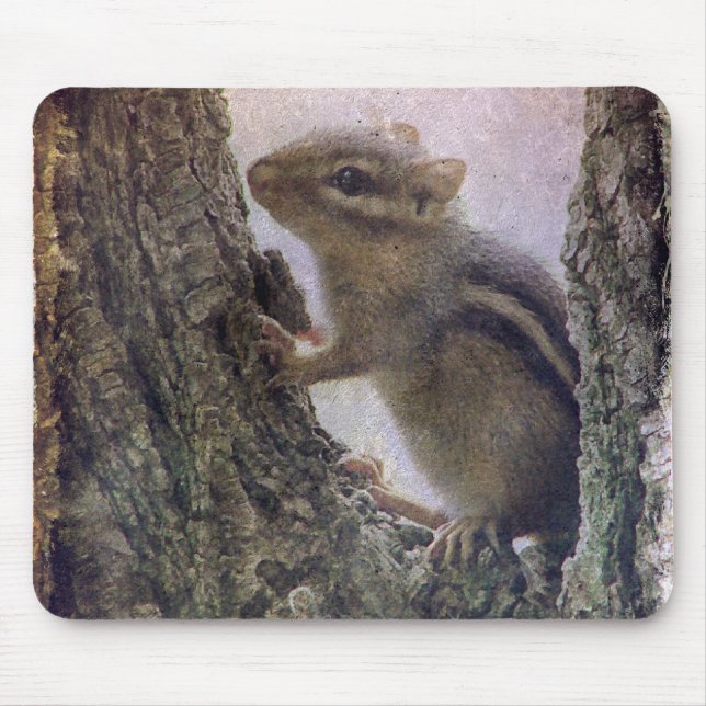 Ground Eichhörnchengrunge Mousepad (Vorne)