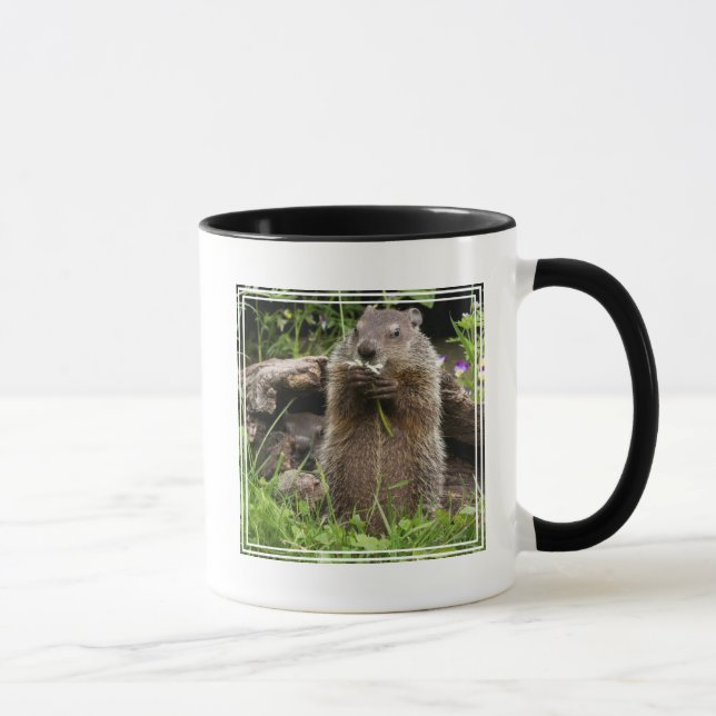 Ground Hog Munching auf einer Blume Tasse (Rechts)