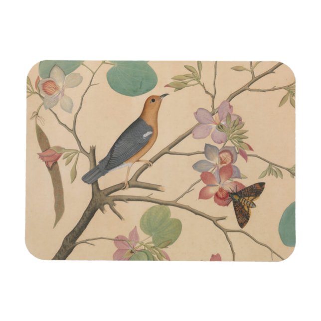 Ground Thrush and Moth auf einer Orchid-Zweigstell Magnet (Horizontal)