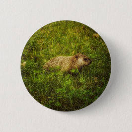 Groundhock in einem Feldtasten Button