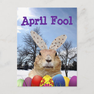 Groundhog April Narr Day Postkarte