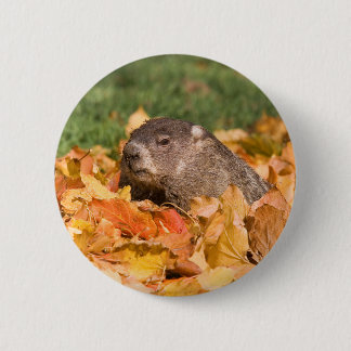 Groundhog Button