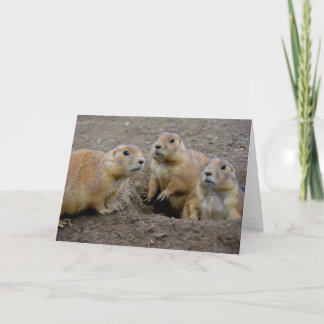 Groundhog Day Karte
