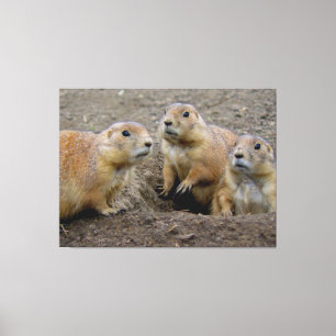 Groundhog Day Leinwanddruck