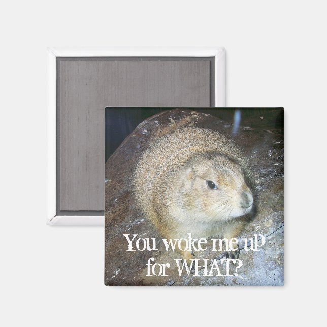 Groundhog Day Magnet (Vorderseite/Rückseite)