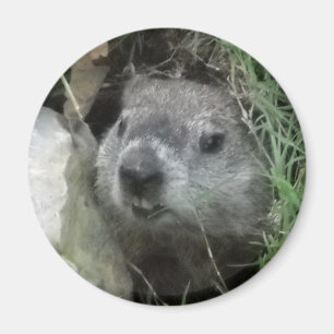 Groundhog Day Magnet