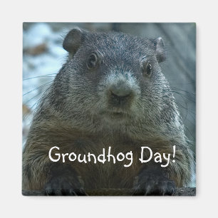 Groundhog Day! Magnet
