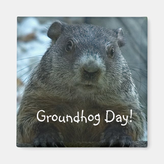 Groundhog Day! Magnet (Vorne)