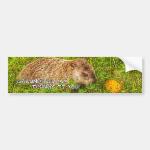 Groundhog Day-Neuigkeiten zu Ihnen! Autoaufkleber