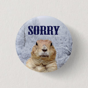 Groundhog Day Sorry Button