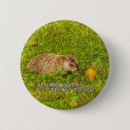 Groundhog Day Tidings zu Ihnen auf Knopf! Button