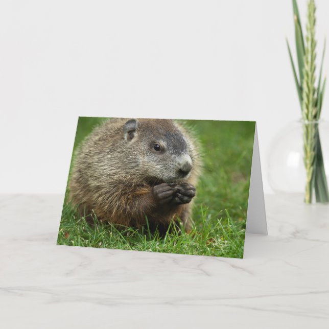 Groundhog Day Woody Karte (Vorderseite)