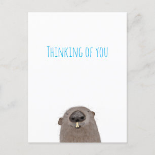 Groundhog denken Sie an Ihre Postkarte