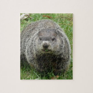 Groundhog Essen Puzzle