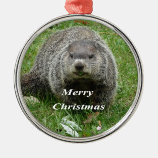 Groundhog Essen Silbernes Ornament