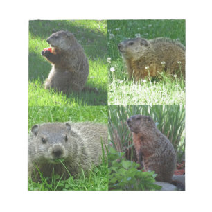 Groundhog Gemisch Notizblock