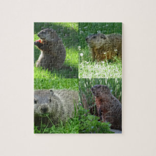 Groundhog Gemisch Puzzle