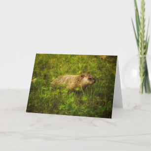 Groundhog in einem Feld Grußkarte Karte
