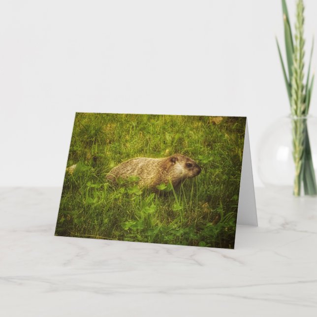 Groundhog in einem Feld Grußkarte Karte (Vorderseite)
