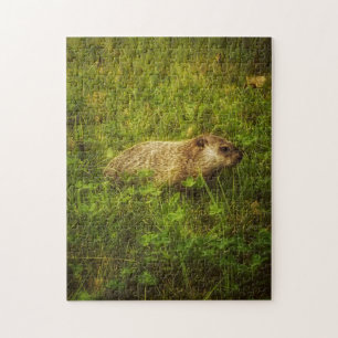 Groundhog in einem Feld-Puzzle Puzzle