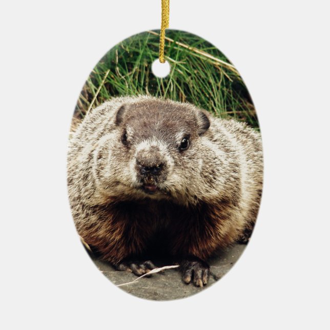 Groundhog Keramikornament (Vorne)