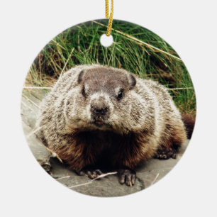 Groundhog Keramikornament